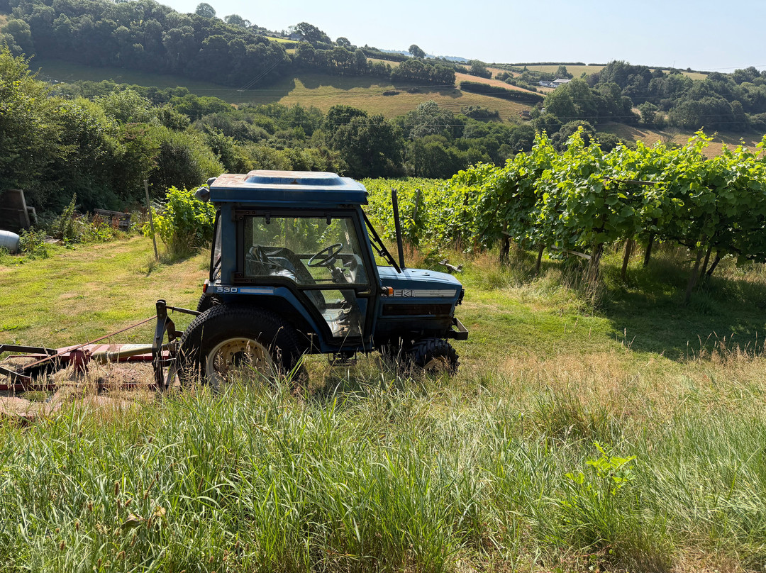 Looe Valley Vineyard-卢城必去景点