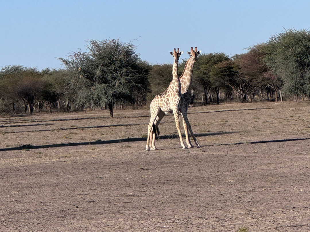 Wildacker Guestfarm主图