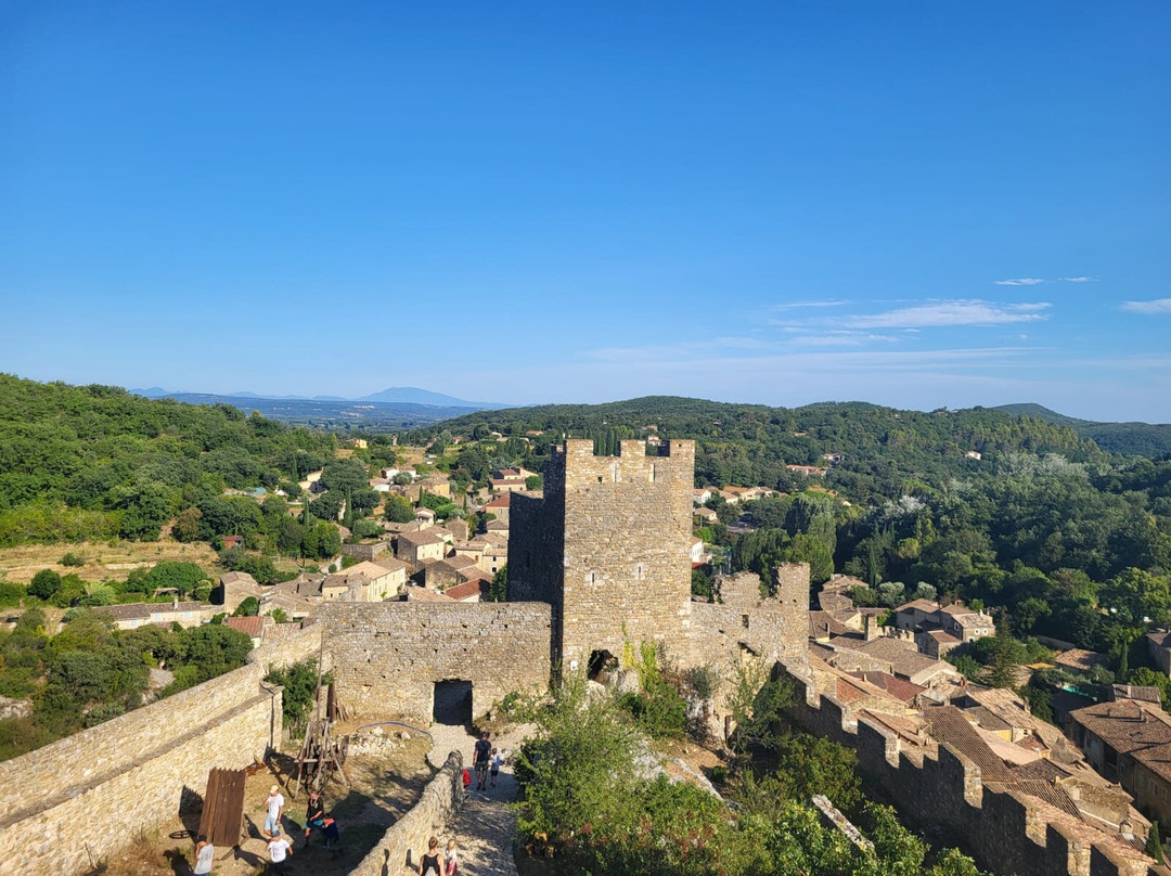 Château de Saint-Montan-Saint-Montan必去景点