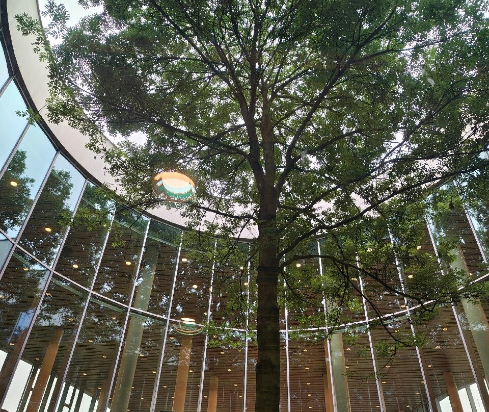 Halmstad Stadsbibliotek-哈姆斯塔德必去景点