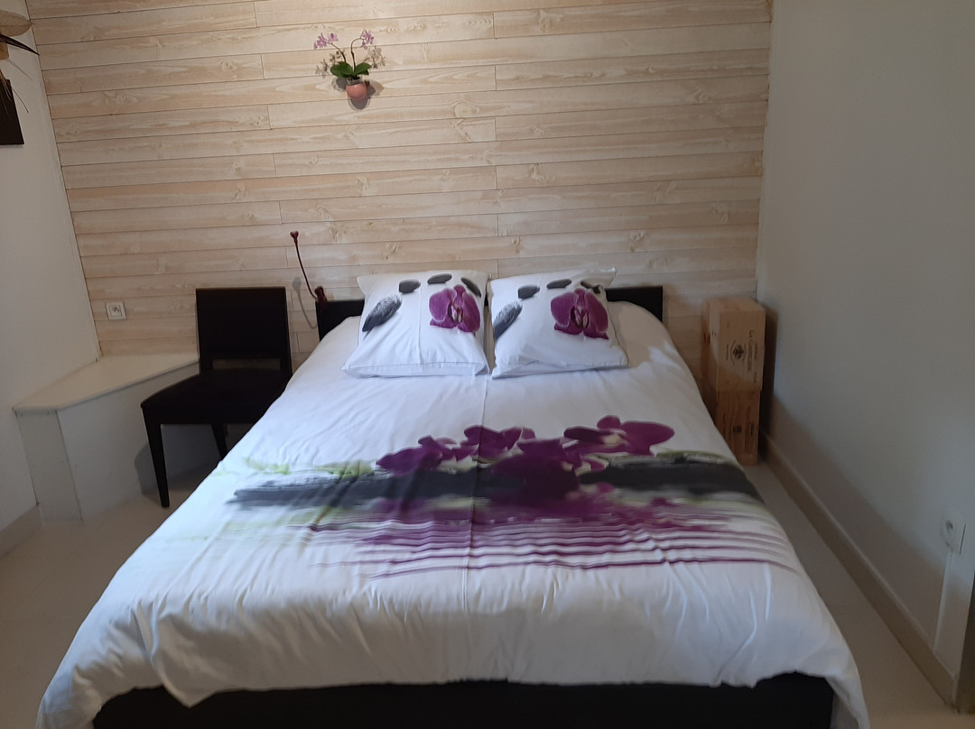 Chambre d'Hotes La Douelle主图