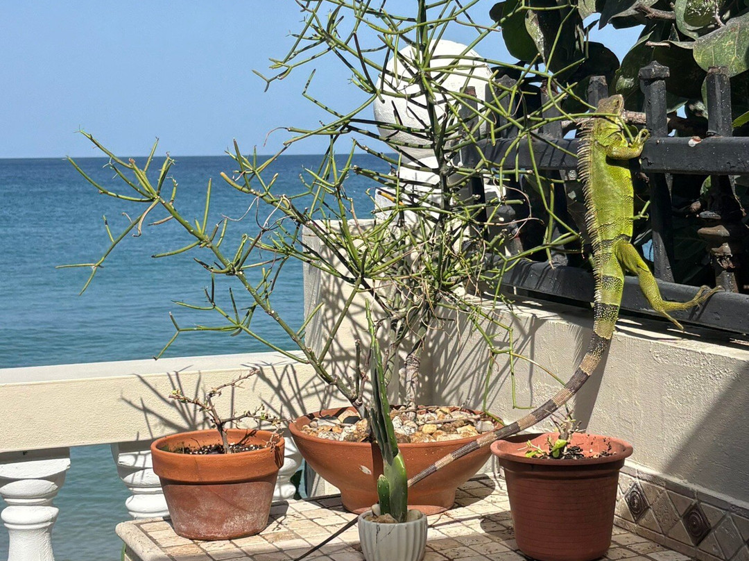 Tres Sirenas Beach Inn主图