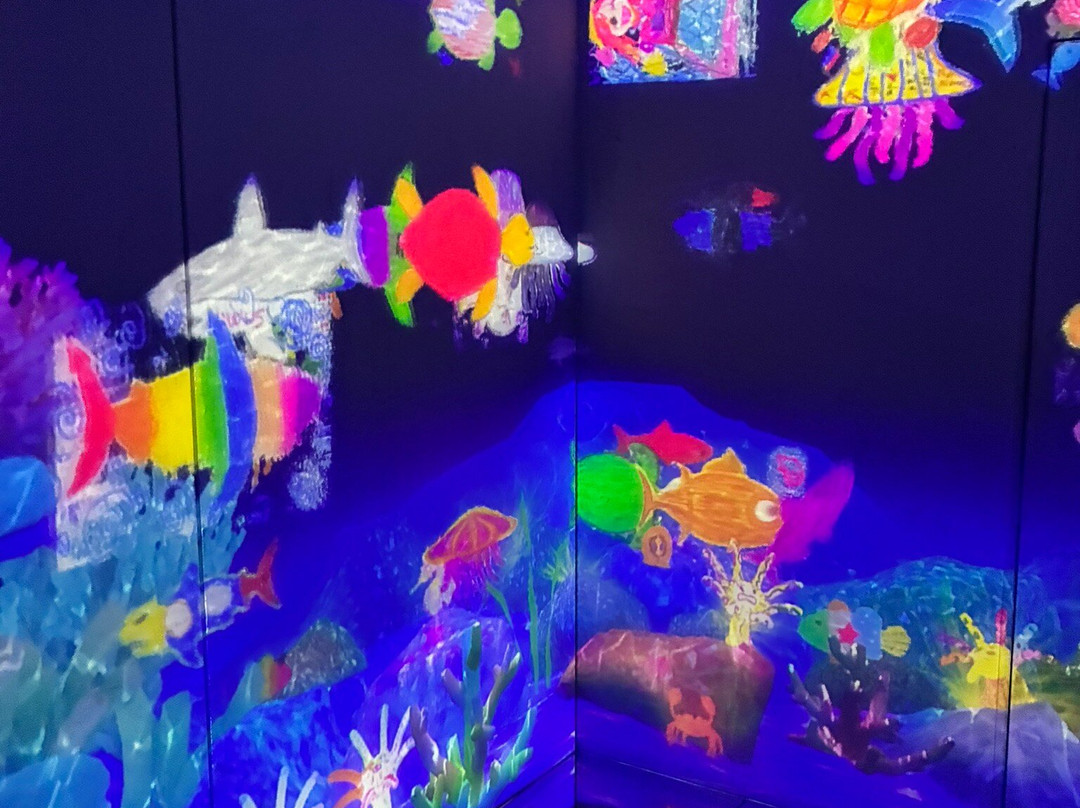 Teamlab Borderless Tokyo-港区必去景点