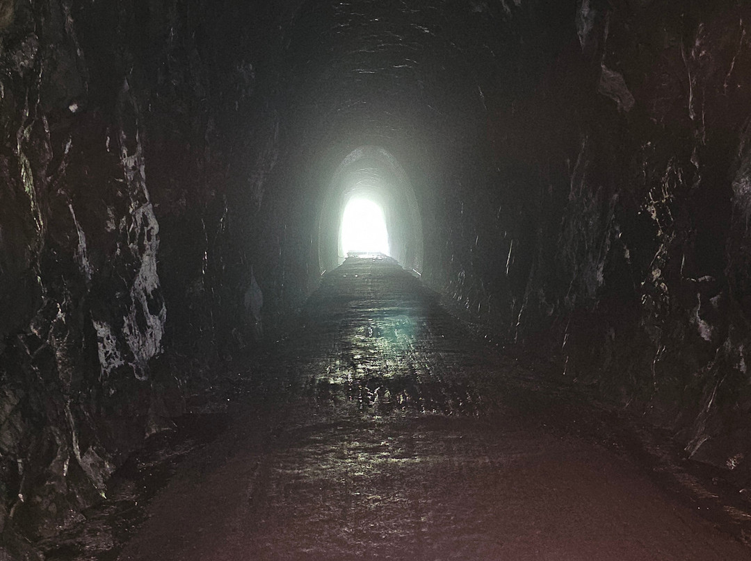 Blue Ridge Tunnel East Trailhead-Afton必去景点