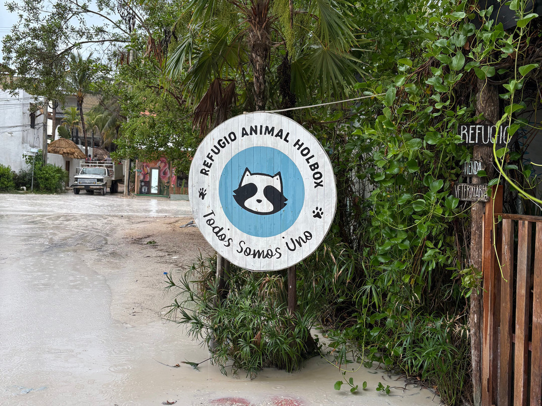 Refugio Holbox-Holbox Island必去景点