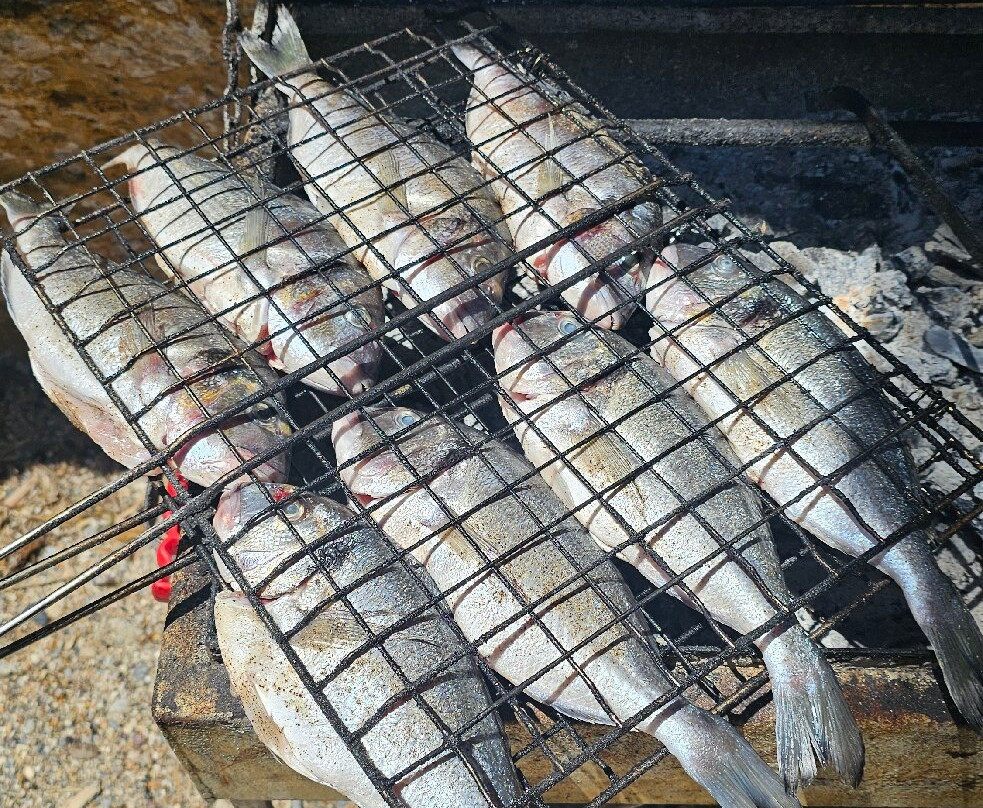 FishingTrips Vangelis Despina samos-Ormos Marathokampou必去景点