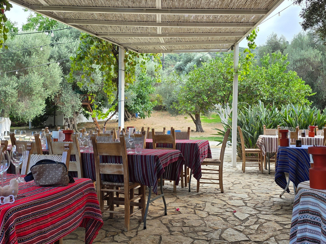 Manousakis Winery-Vatolakkos必去景点