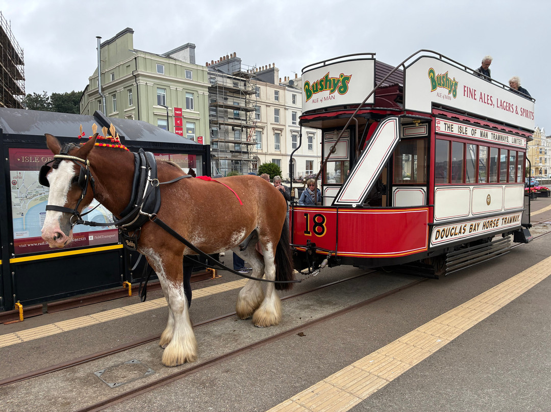 Douglas Bay Horse Tramway-Douglas必去景点