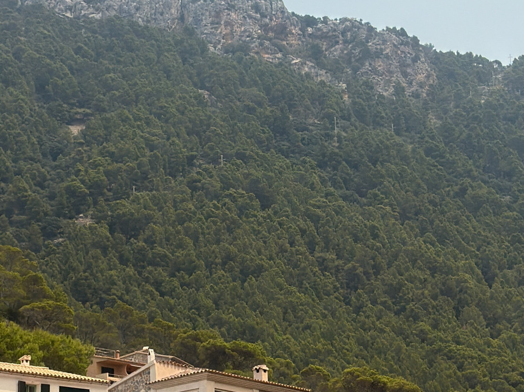 Port De Valldemossa-法德摩萨必去景点