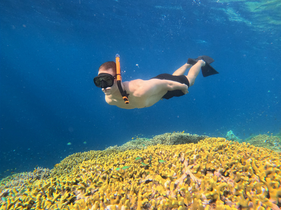 Menjangan Trip Snorkeling & Diving-Pejarakan必去景点