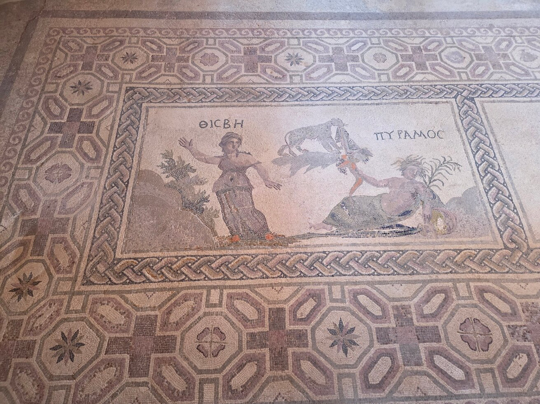Kato Paphos Archaeological Park-帕福斯必去景点