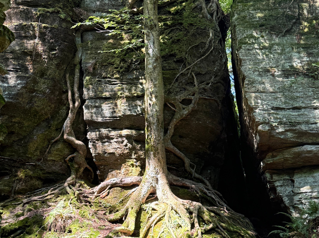Panama Rocks Scenic Park-Panama必去景点