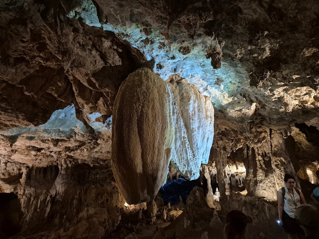 Grotte de Lombrives-Ussat必去景点