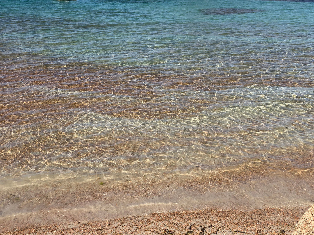 Plage du Coz-Pors-Tregastel必去景点