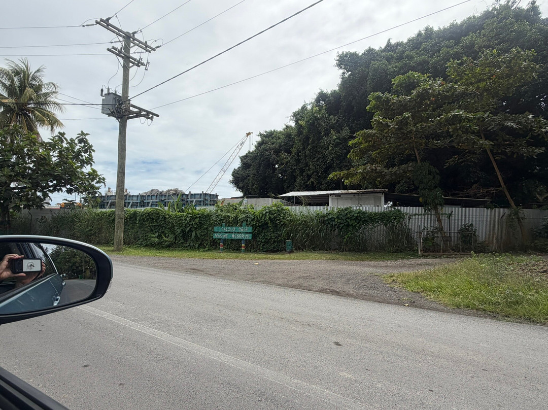 Palolo Deep Marine Reserve-阿皮亚必去景点