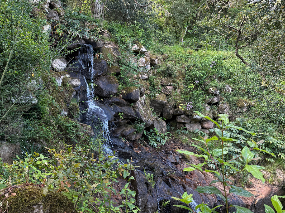 蒙塞拉特宫-辛特拉必去景点