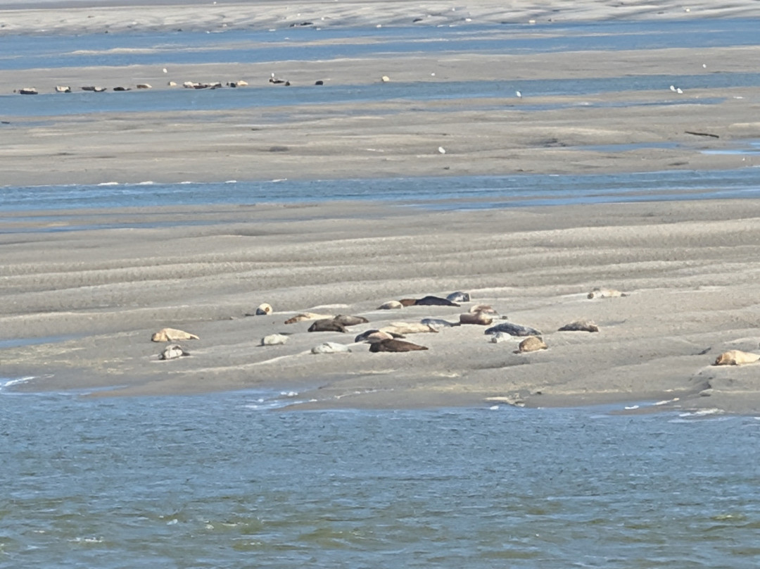 Passion Baie de Somme-Le Crotoy必去景点