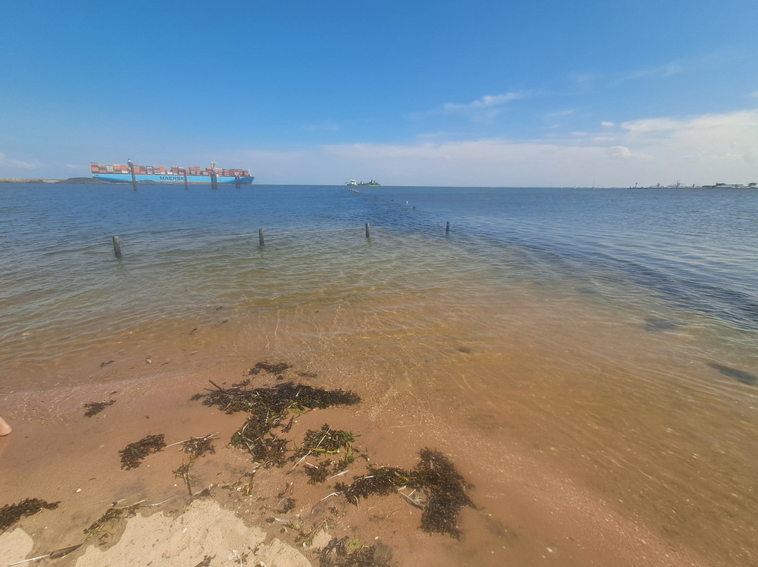 Strand Grimmershörn-库克斯港县必去景点