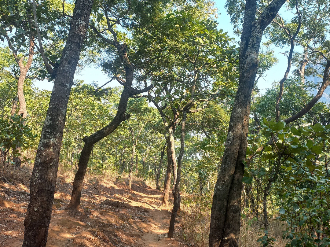Mulanje Mountain Tour Guide-姆兰杰必去景点