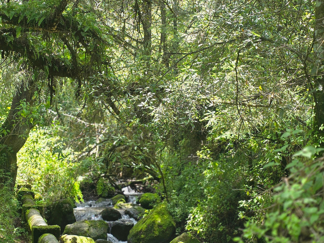 Vive Trekking México-Cuetzalan del Progreso必去景点