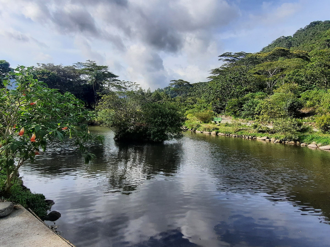 Parque Biblioteca de Boquete-波魁特必去景点