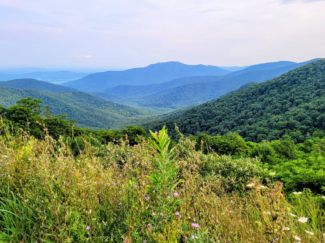 Shenandoah National Park-弗兰特罗亚尔必去景点