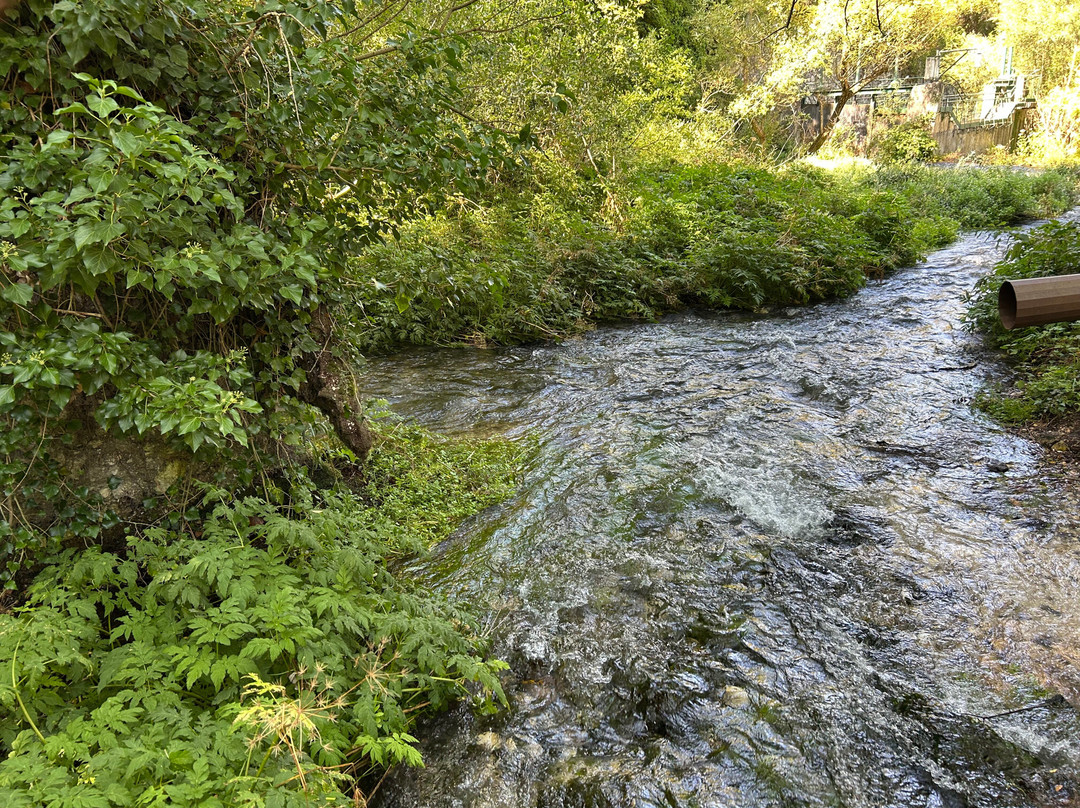 Riserva Naturale Gole del Sagittario-Anversa degli Abruzzi必去景点