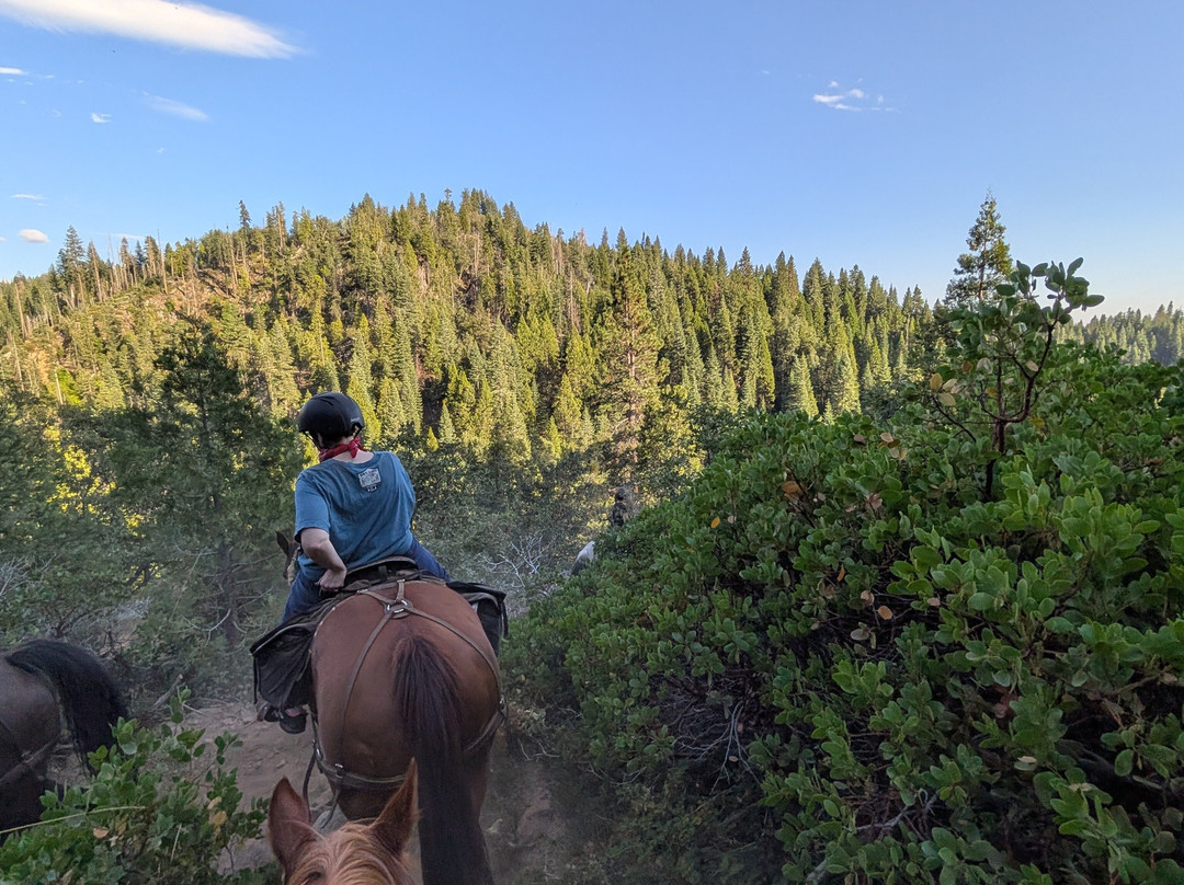 Yosemite Trails Horseback Adventures-菲什营必去景点