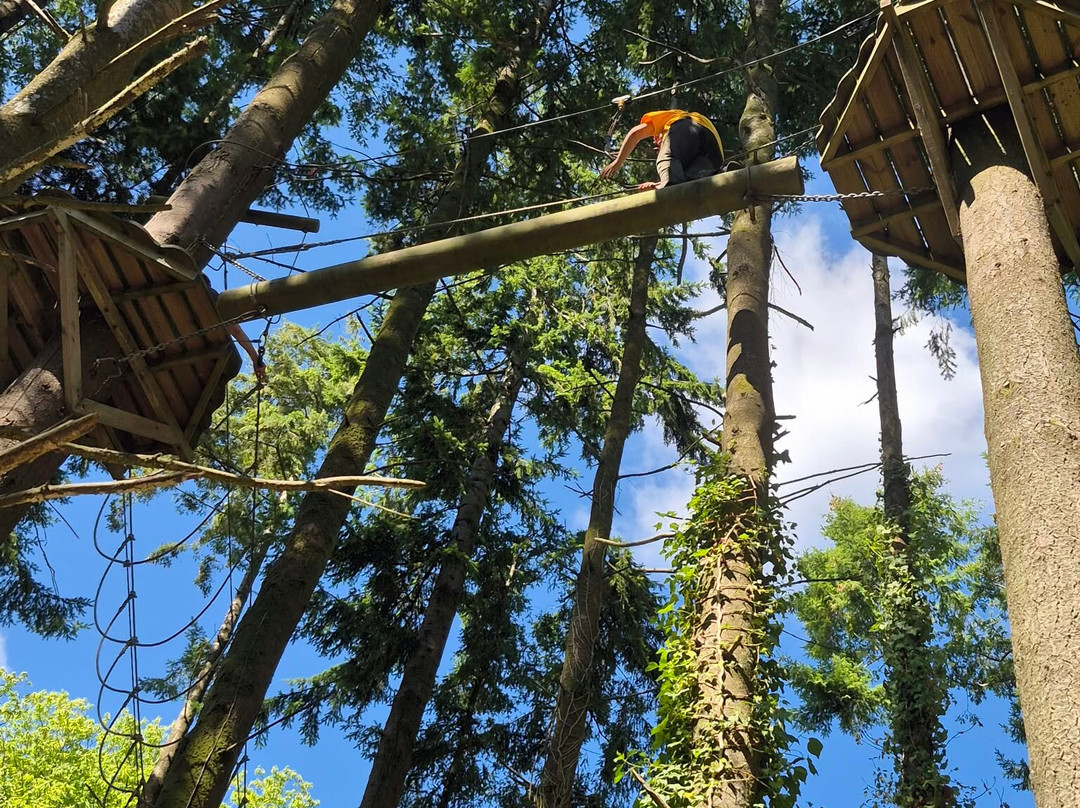 The Tunnel Tree Tops High Ropes-Charmouth必去景点