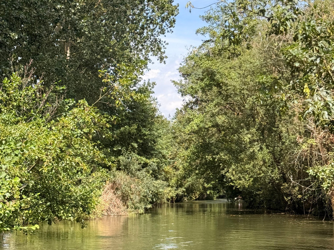Embarcadere Cardinaud - Marais poitevin-Nouvelle-Aquitaine必去景点