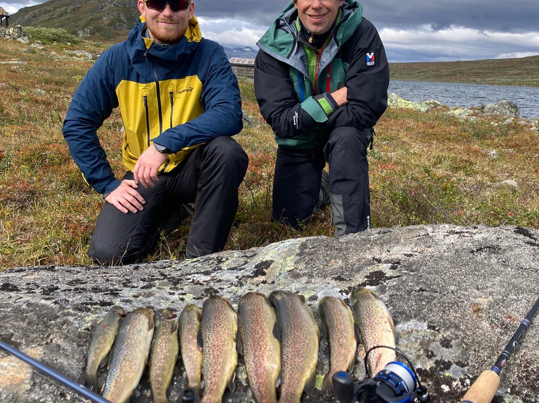 The Locals - Jotunheimen-Tessand必去景点