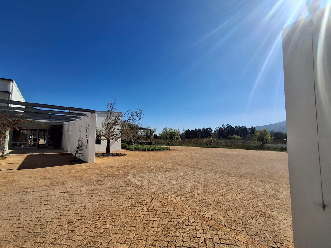 Morgenster Wine Farm and Olive Estate-西索美塞必去景点
