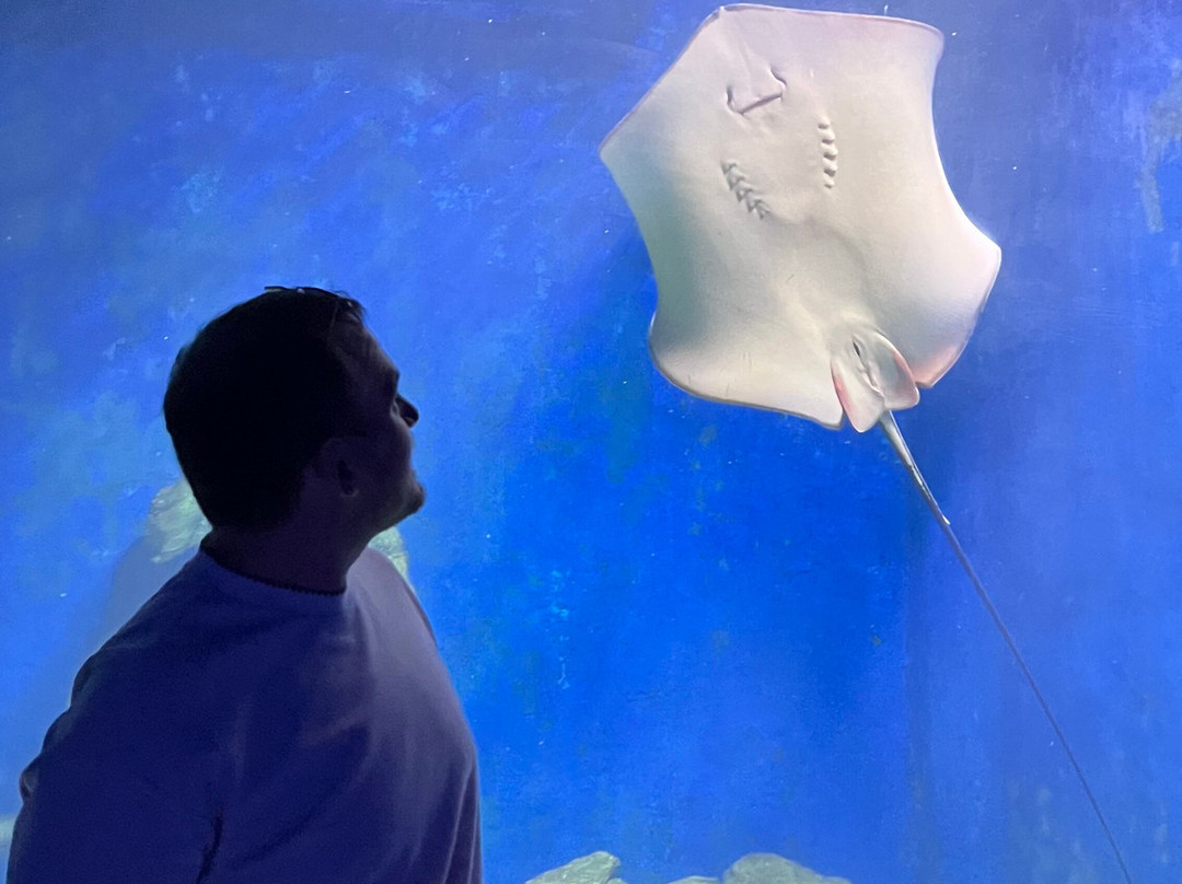 Hurghada Grand Aquarium-赫尔格达必去景点