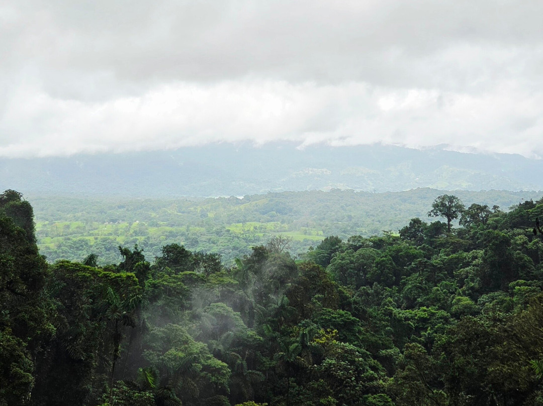 Arenal Hanging Bridges-阿雷纳火山国家公园必去景点