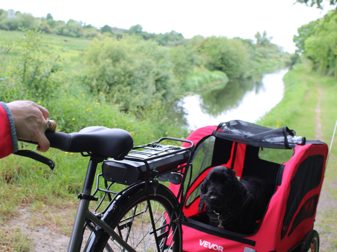 Kildare Bike hire-Athy必去景点