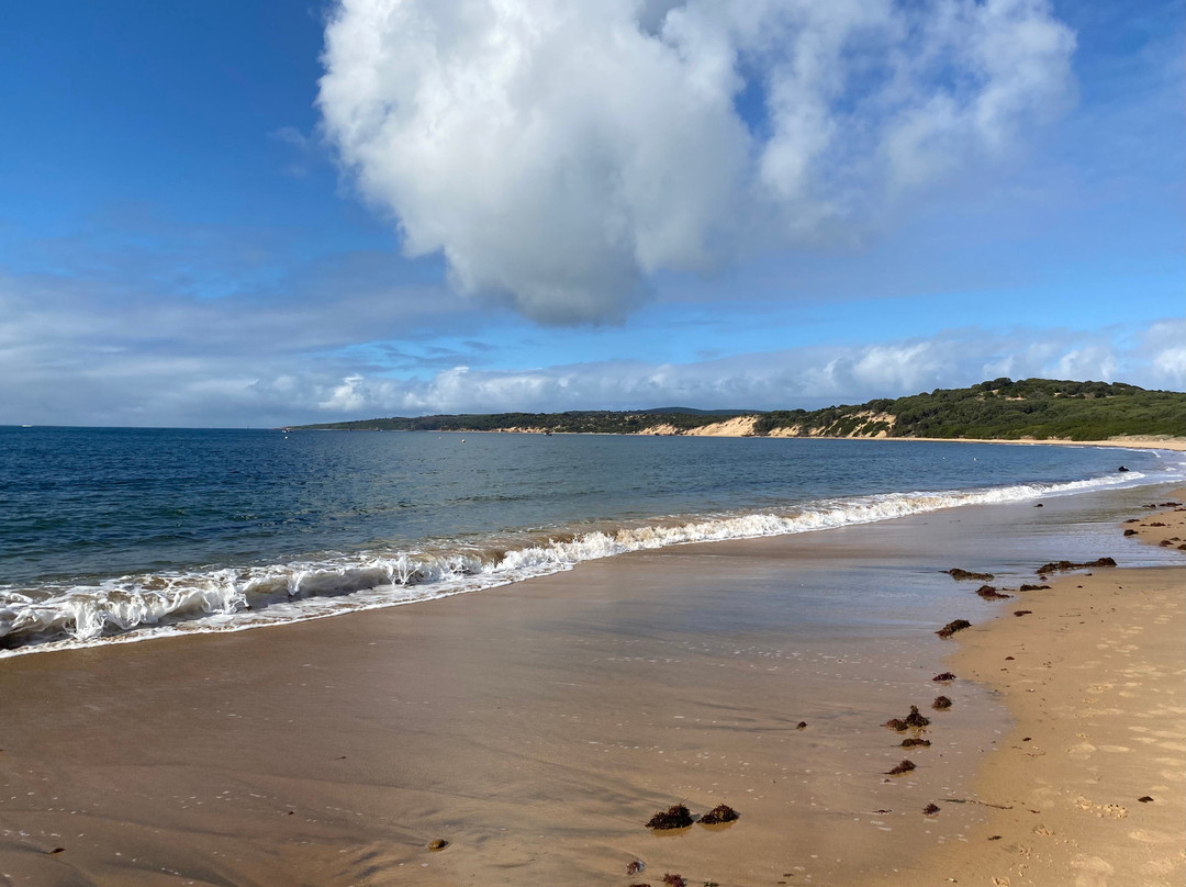 Woolamai Beach-Cape Woolamai必去景点