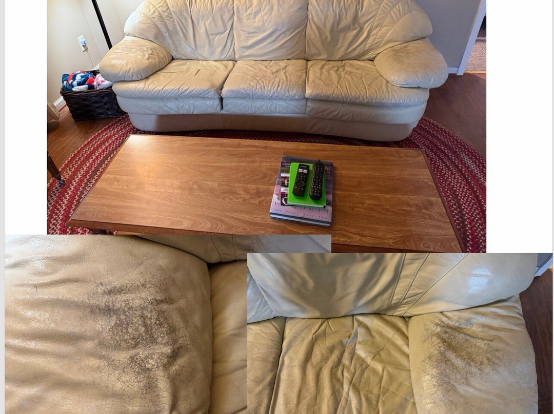诺利丘基布拉夫小屋主图