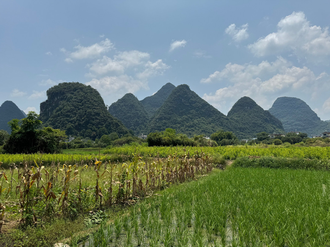 阳朔古迹山水园-阳朔县必去景点