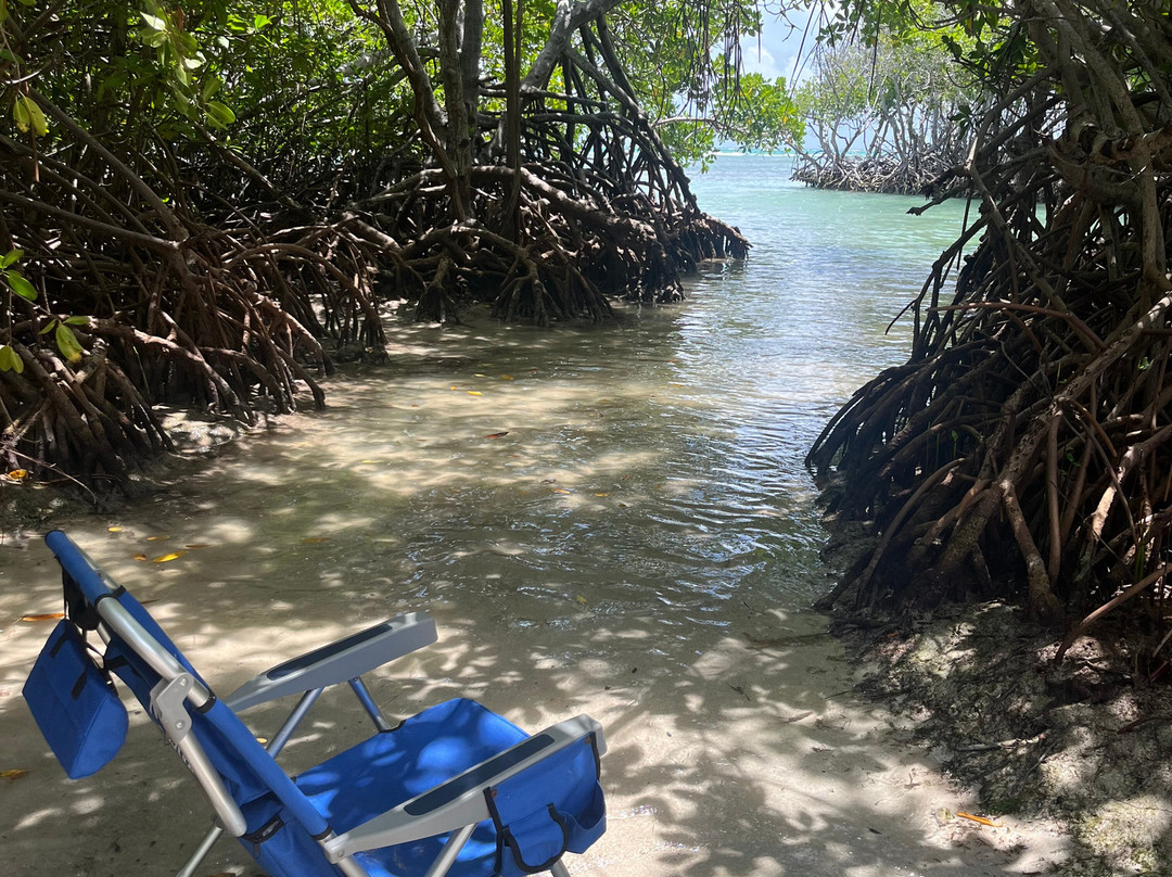 Playa Manglillo-Guanica必去景点