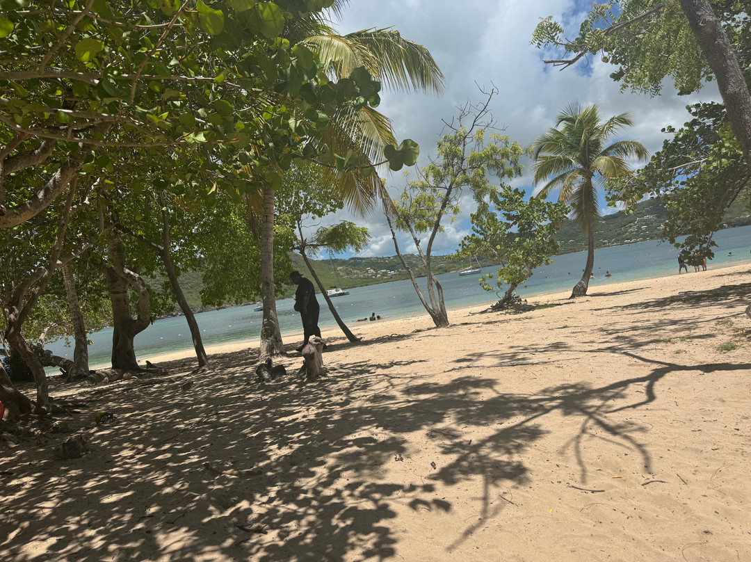 Tropical Adventures - Island Safari-圣 约翰必去景点