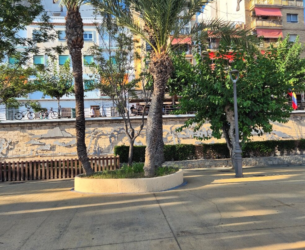 Parc d'Elx-贝尼多姆必去景点