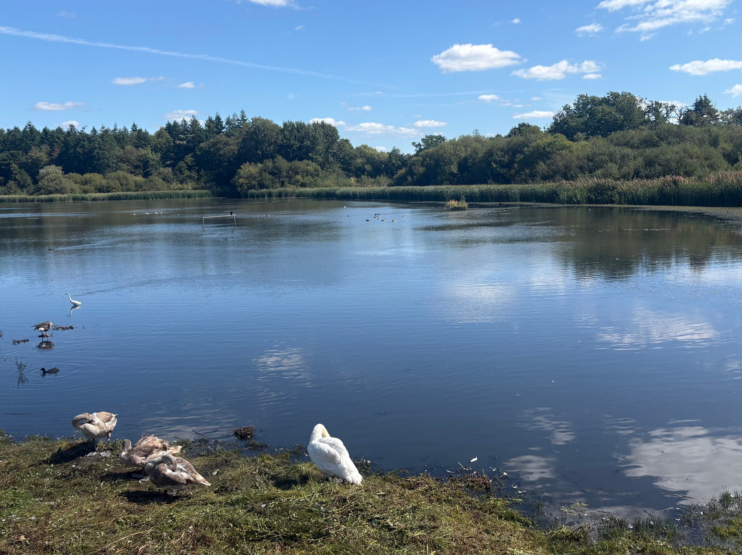 Warnham Local Nature Reserve-霍舍姆必去景点