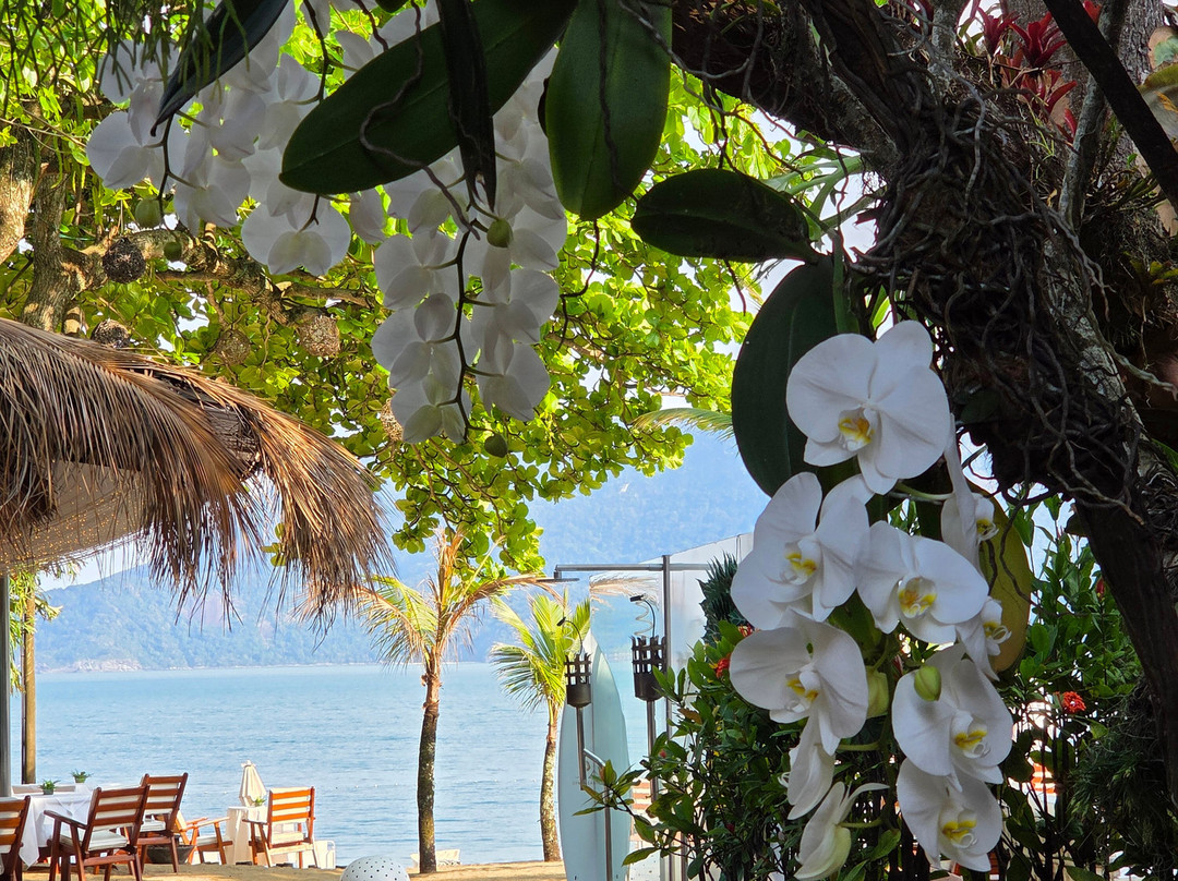 Ilhabela DPNY海滩酒店主图