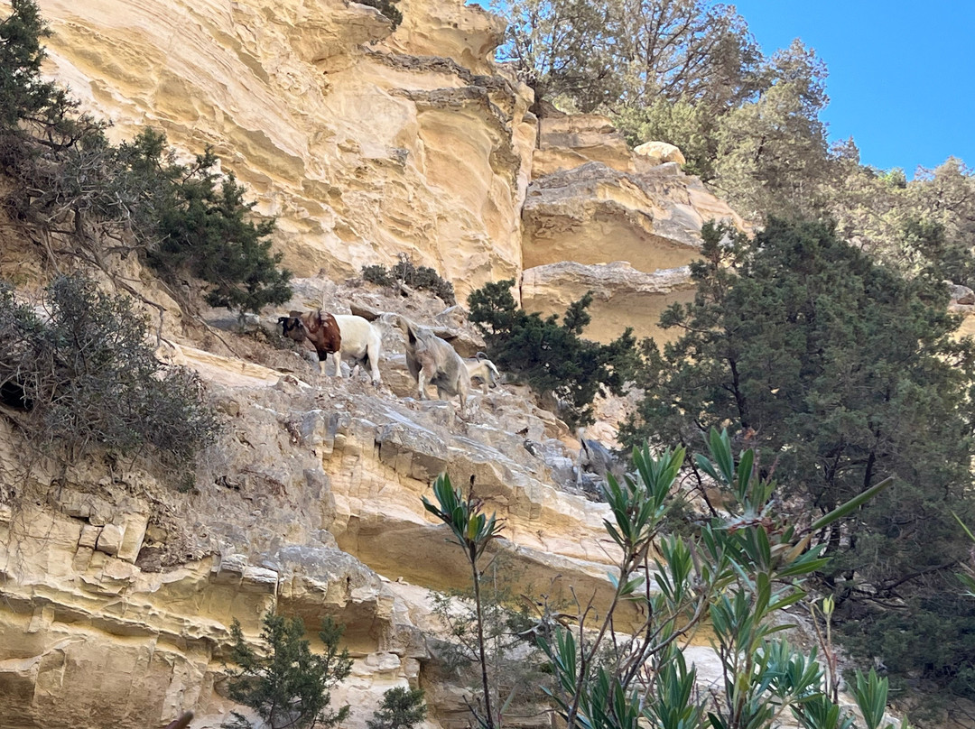 Avakas Gorge-帕福斯必去景点