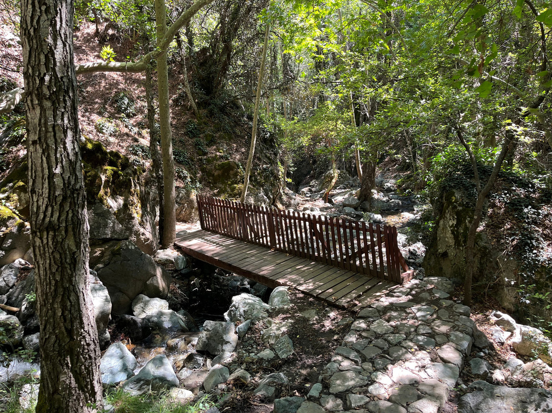 Caledonia Waterfall-帕拉翠斯必去景点