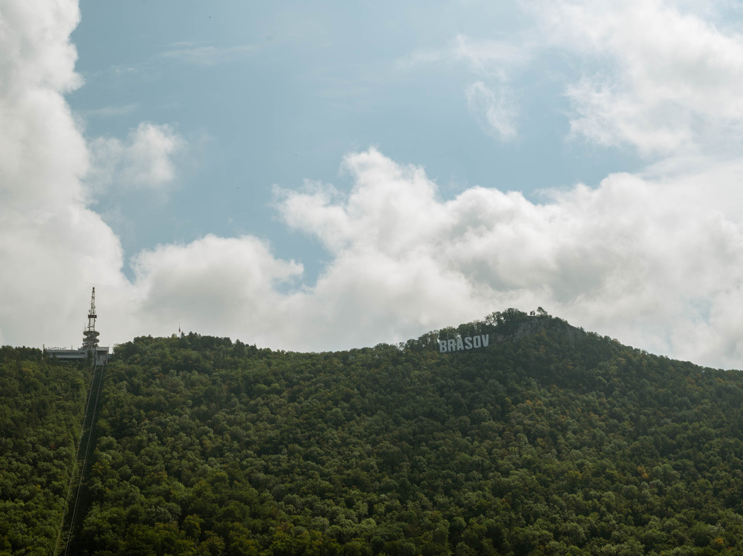 Pelișor Castle-锡纳亚必去景点
