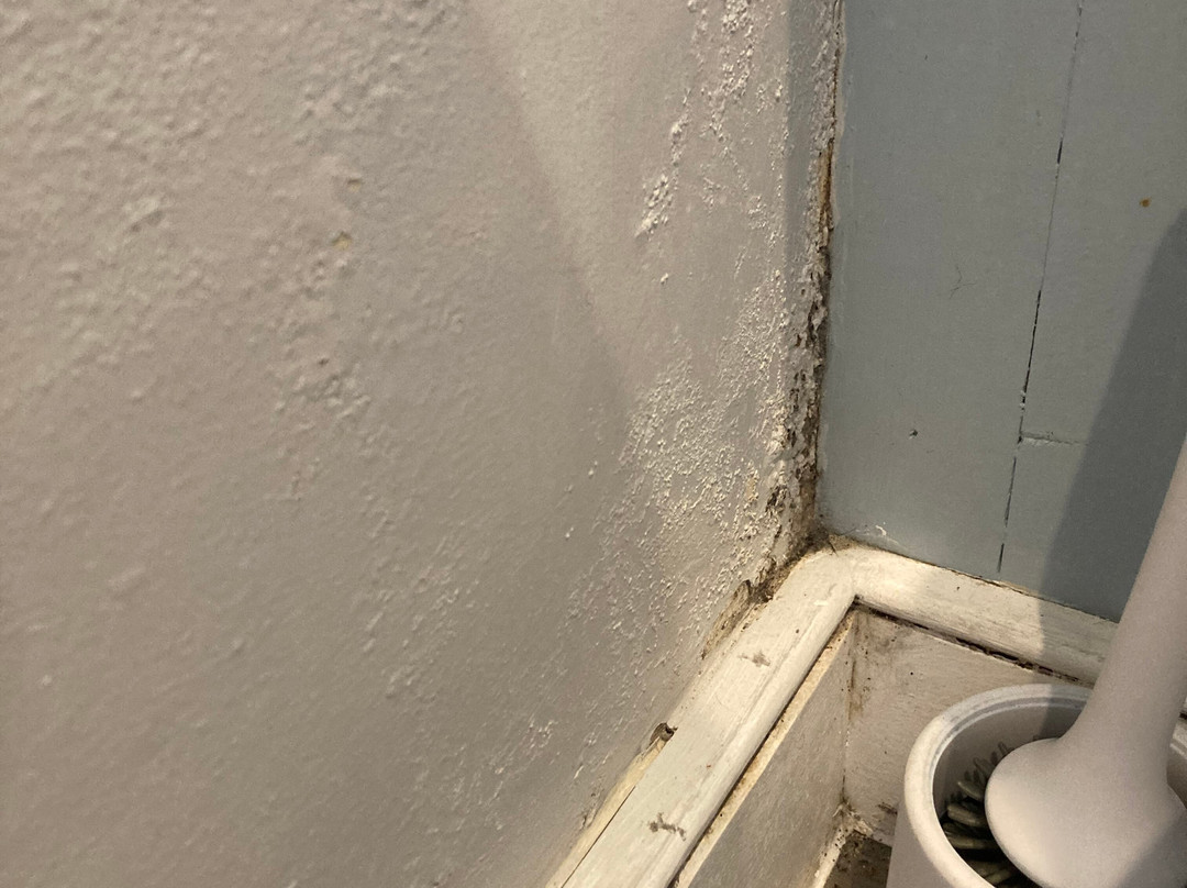 新飞马旅馆主图