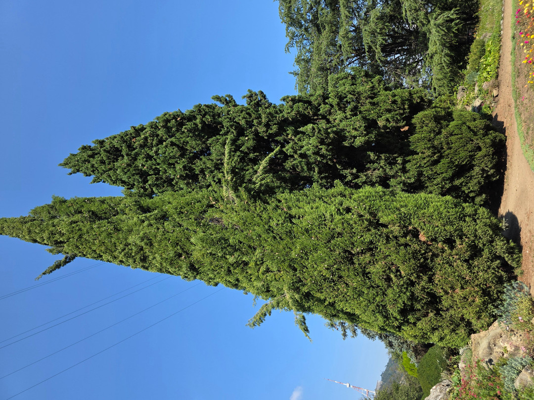 National Botanical Garden of Georgia-第比利斯必去景点
