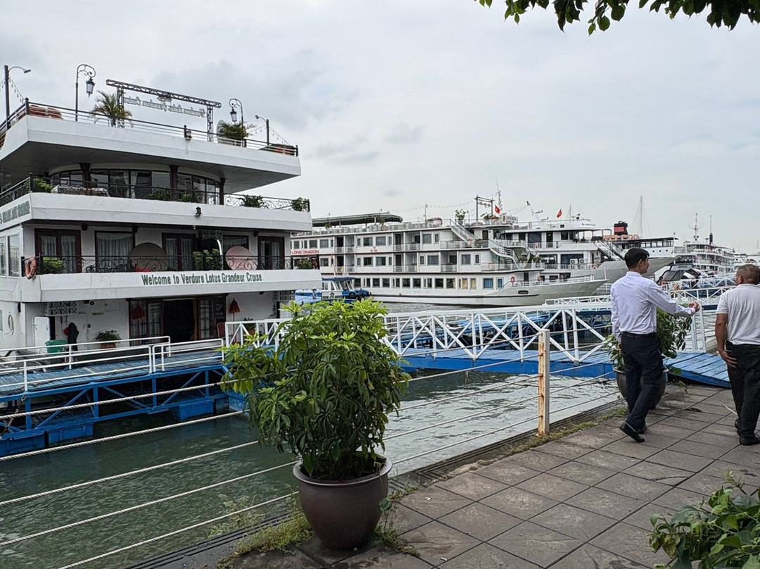 Verdure Lotus Cruises-团洲岛必去景点