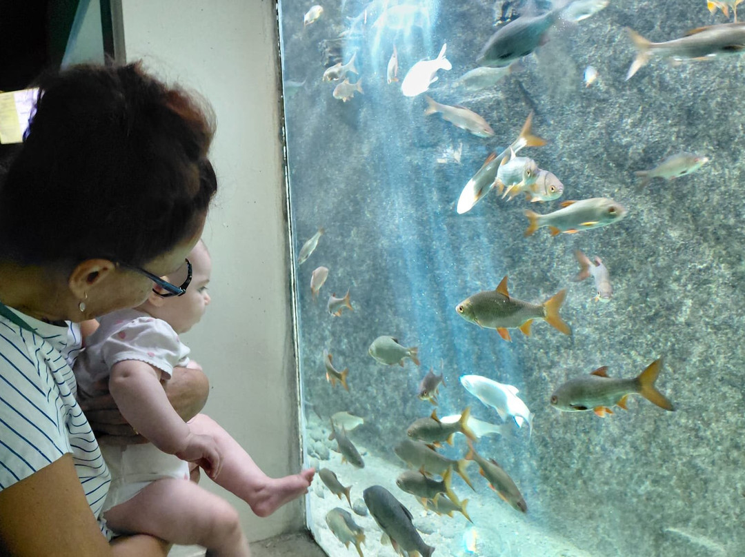 Aquarium De Touraine-Lussault-sur-Loire必去景点